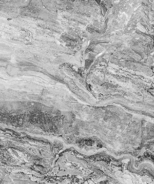 2024.12.28_13.49.21_4703