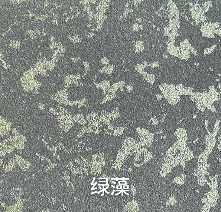 2025.1.14_15.8.37_9460