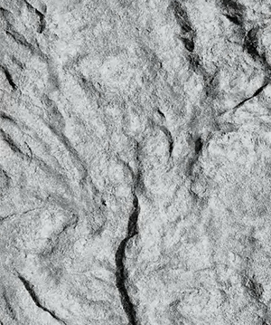 2025.4.12_17.52.6_3778