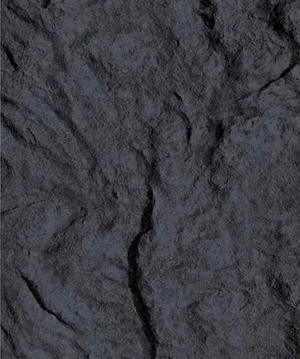 2025.4.12_17.55.11_5305