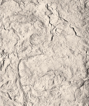 2025.4.14_17.8.8_1410