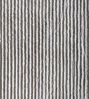 2025.5.24_12.0.4_2762