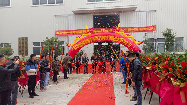 9888拉斯维加斯(中国游)官方网站