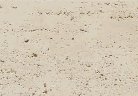 9888拉斯维加斯(中国游)官方网站